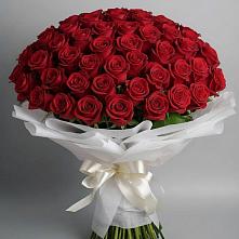 Букет 101 Красная роза Блэк Мэджик в Репьевке