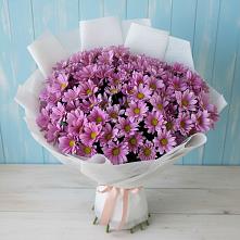 Букет цветов из:  Хризантемы в Репьевке