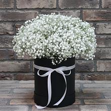 Цветочная композиция из Гипсофила в шляпной коробке в Репьевке
